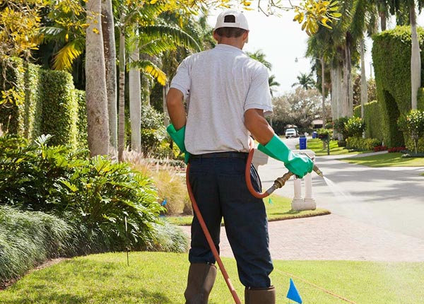 About Bluefield WV Pest Control